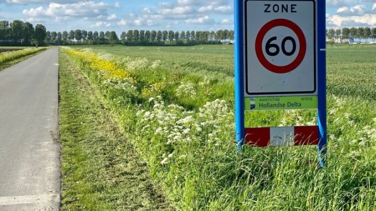 Verkeersbord maximale snelheid 60 kilometer per uur in een groene omgeving